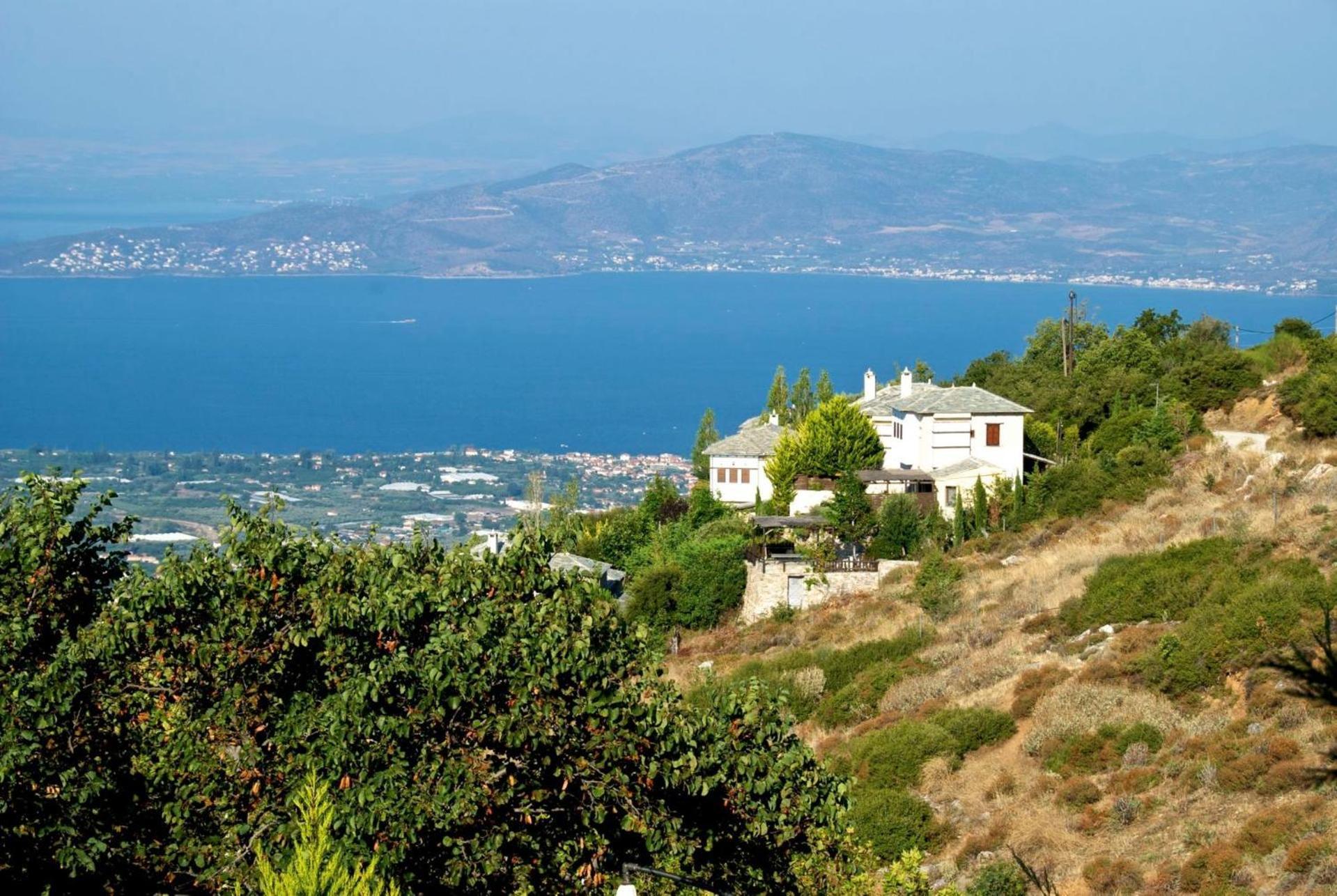 Great Pelion Villa Villa Thalia Private Pool 3 Bedrooms Aghios Georgios Exterior photo